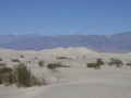 sand-dunes