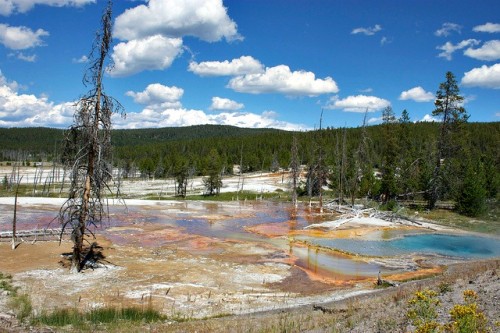 Firehole Drive