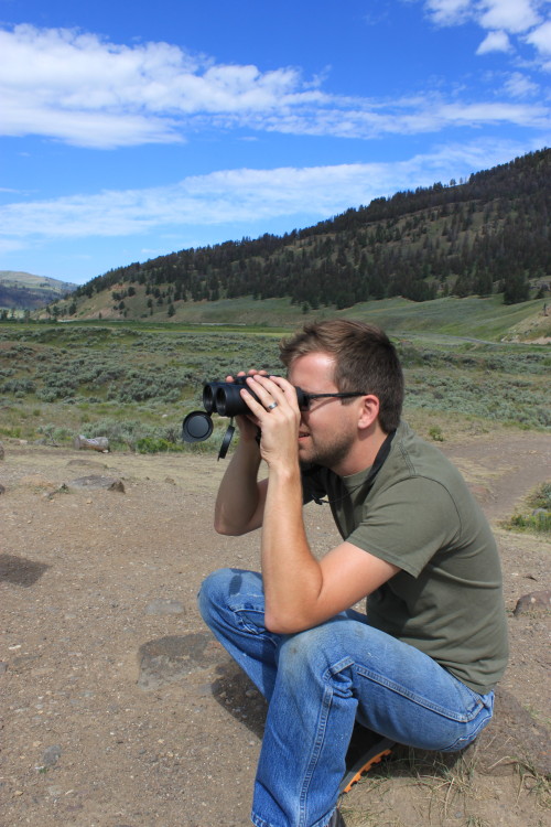 Mark searching for bears