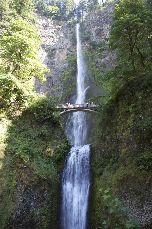 Multnomah Falls