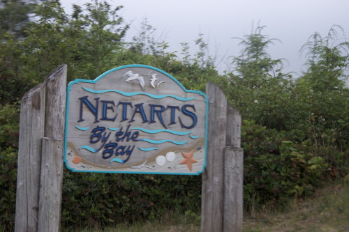 Netarts