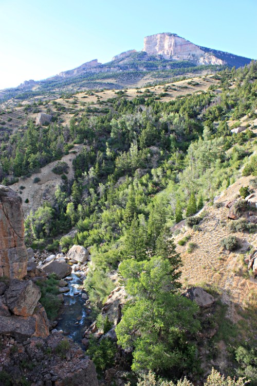 Shells Falls