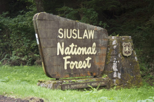 Siuslaw NF