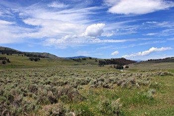 Day 4: From Greybull, WY to Grand Tetons National Park - ramblelove.