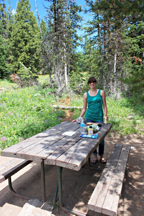 lunch in yellowstone