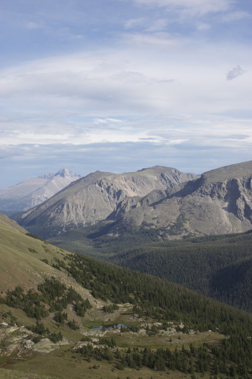 Tundra in Rocky Mountain National park