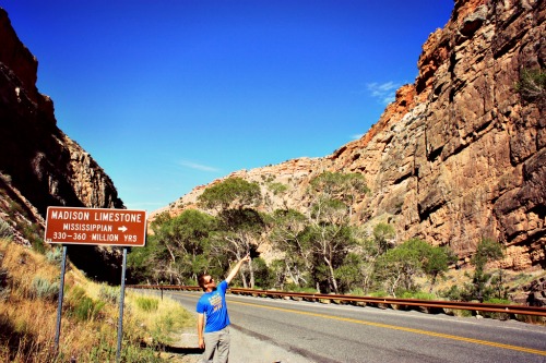 Bighorn forest mark 