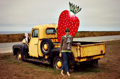 Swanson Berry Farm