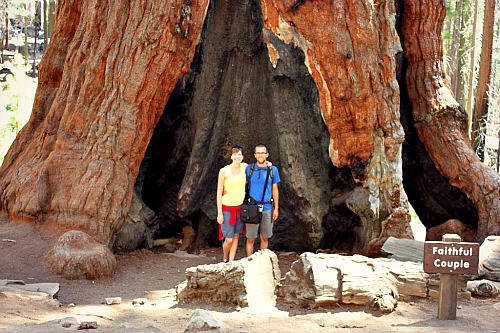 Faithful Couple Mariposa Grove