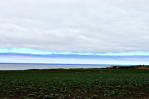 Pacific Coast Highway Farm