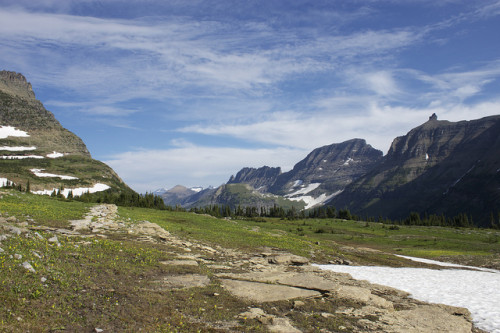 Hidden Lake Trail Glacier National Park