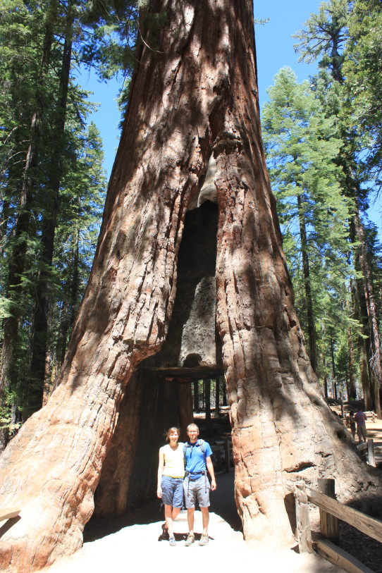 Clothespin Tree