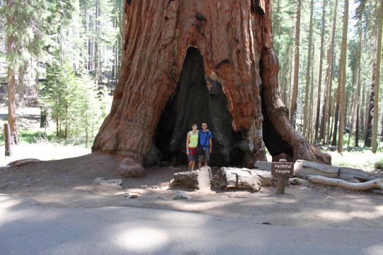 Faithful Couple Tree