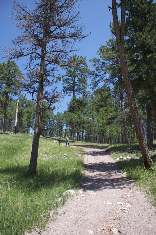 jewel cave canyons trail