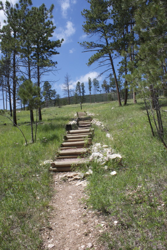 steps in canyons trail