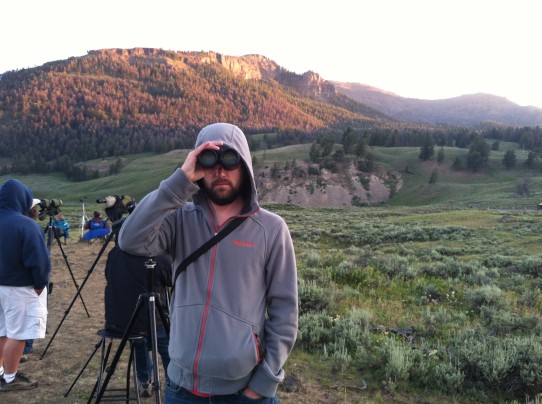 lamar valley wolf sighting