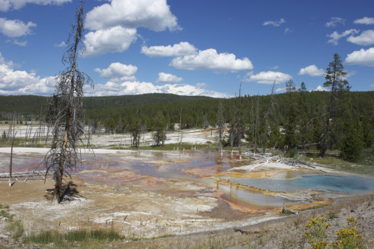 Firehole Lake Pools