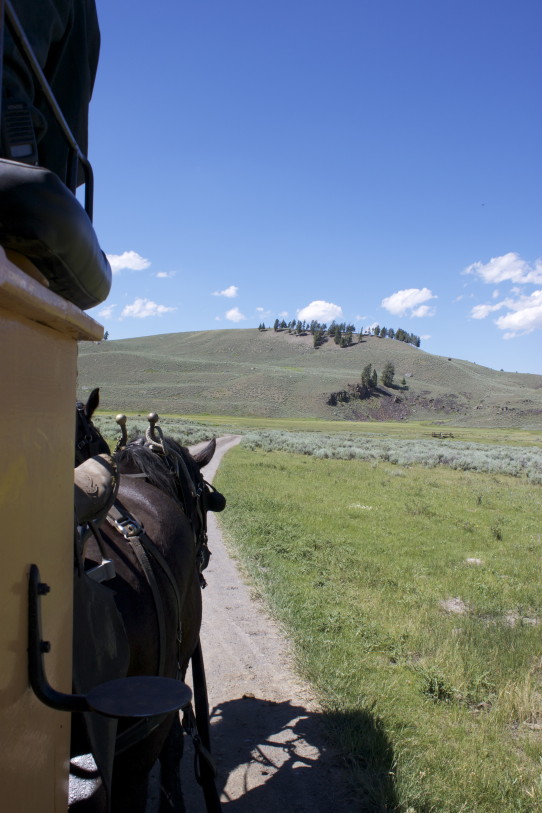 Stagecoach Ride in Yellowstone