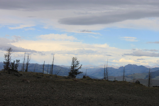 View from top of Mt Washburn