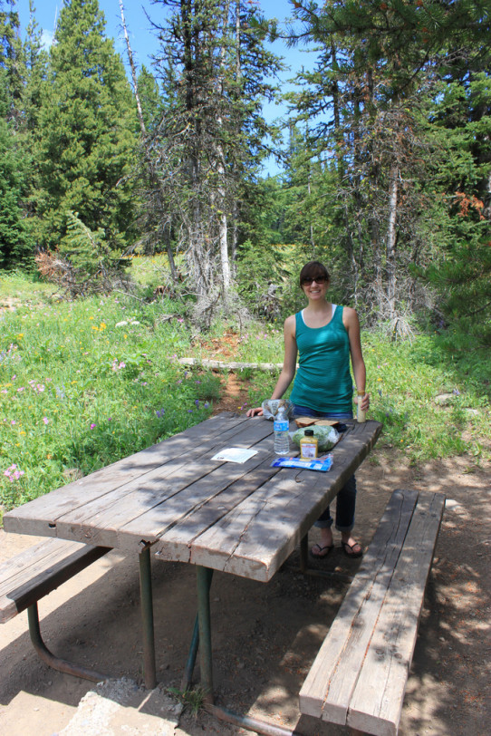 Yellowstone Picnic Lunch