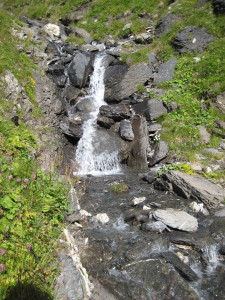 Mountain Stream in Switzerland