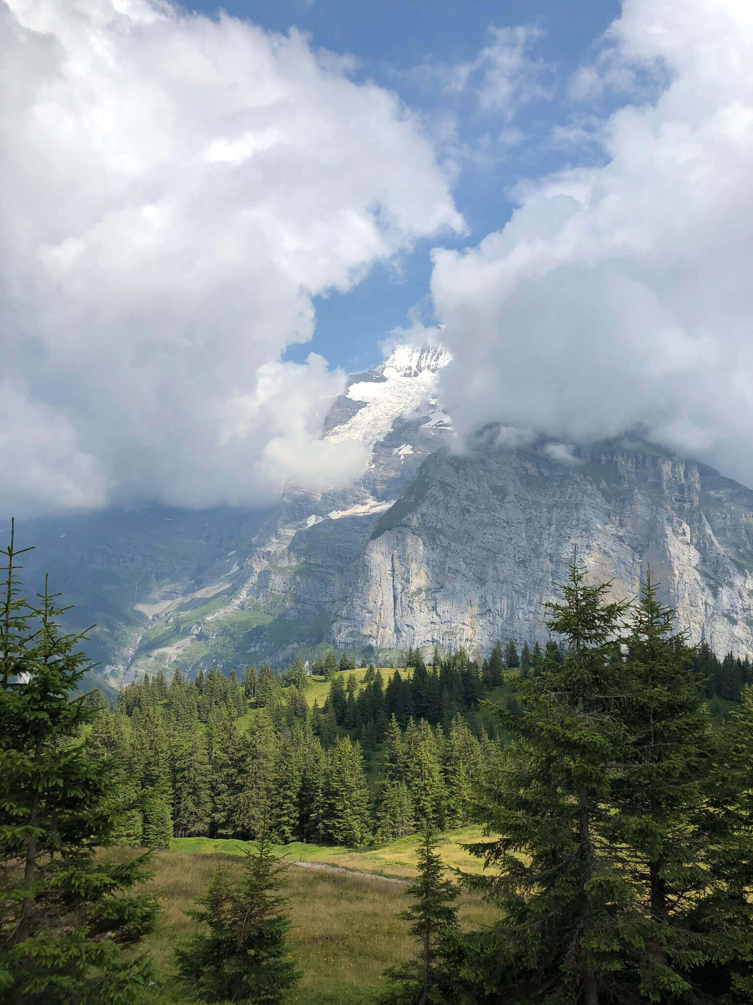 Mountain View Hike Murren