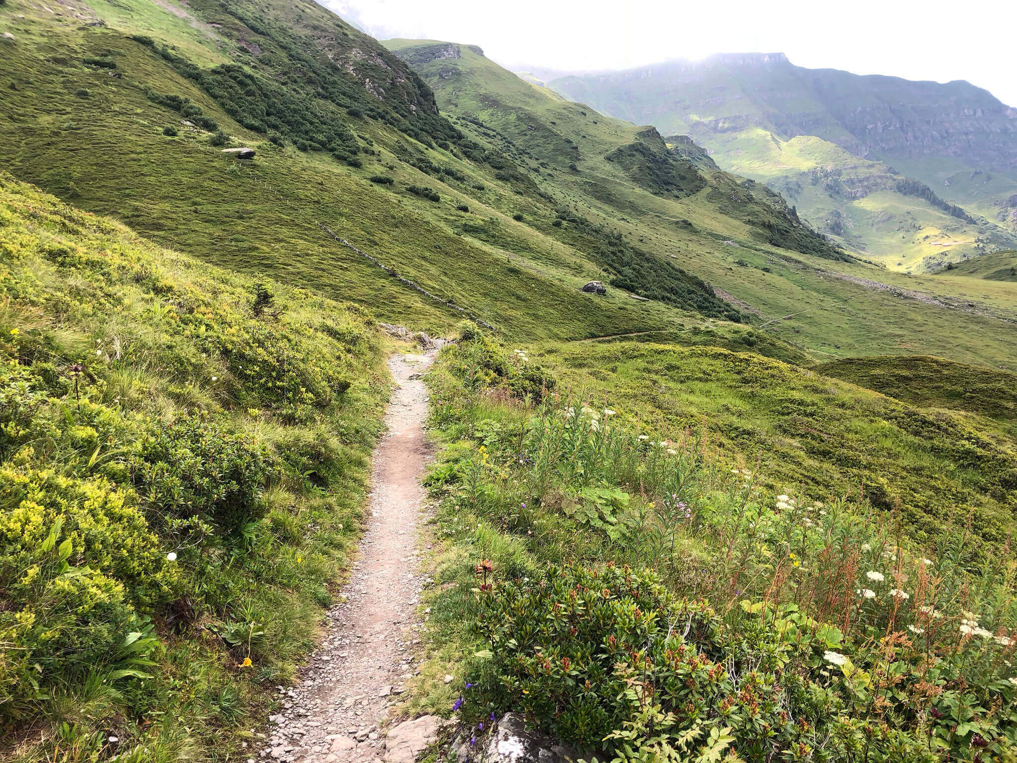 Mountain View Trail - Trail Conditions