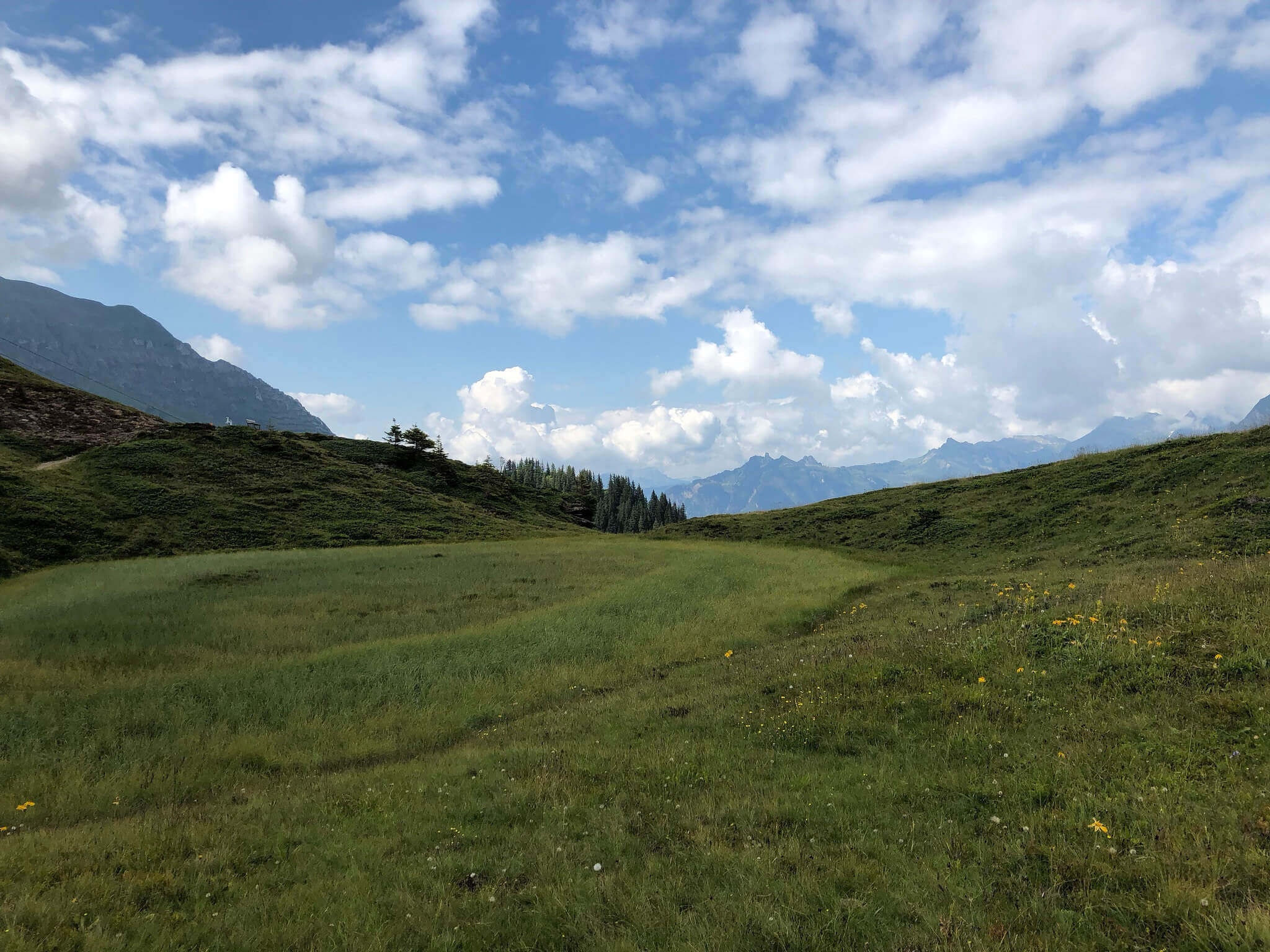 Mountain View Trail